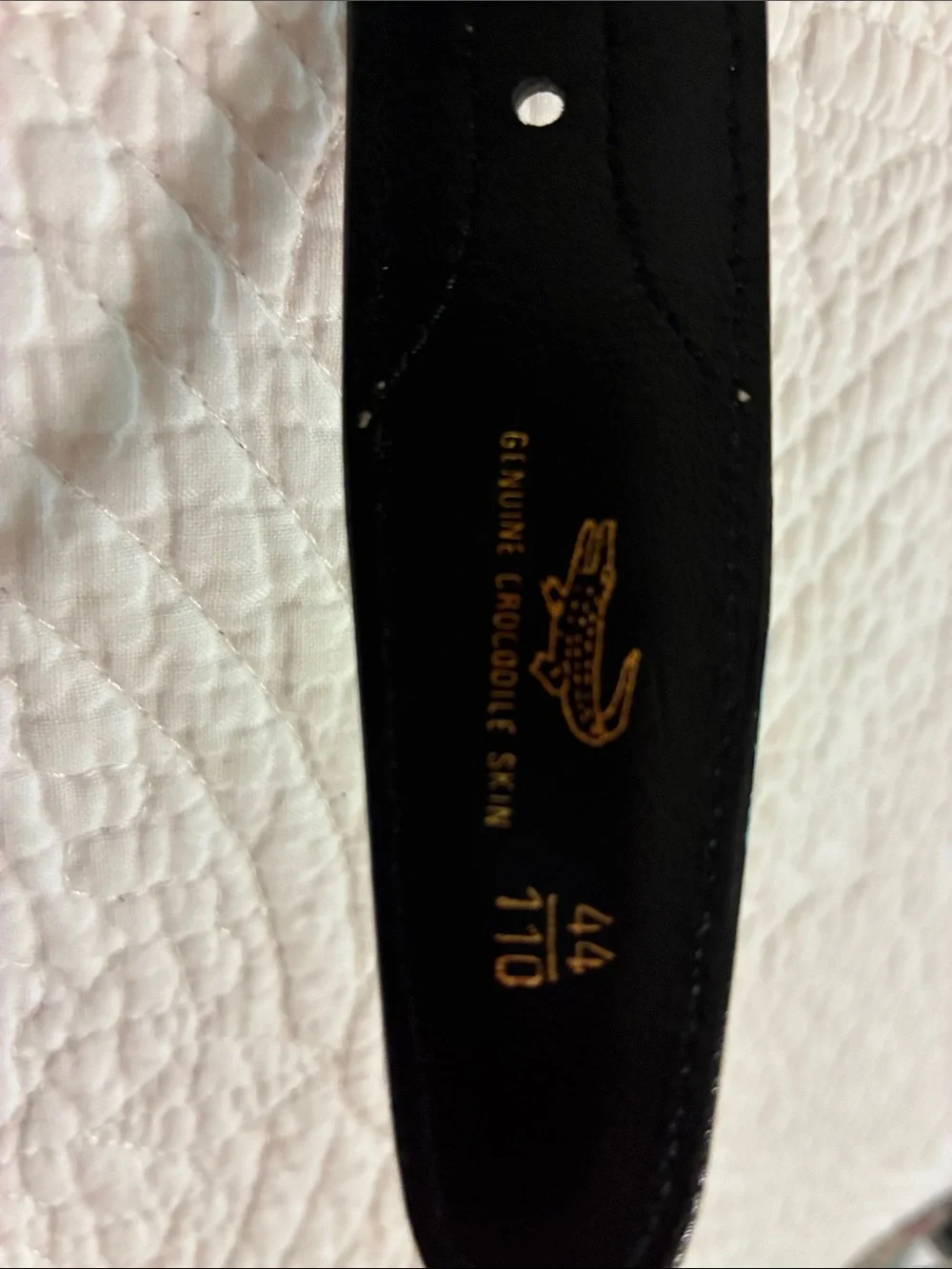 Genuine crocodile two tone belt, buckle made in Italy